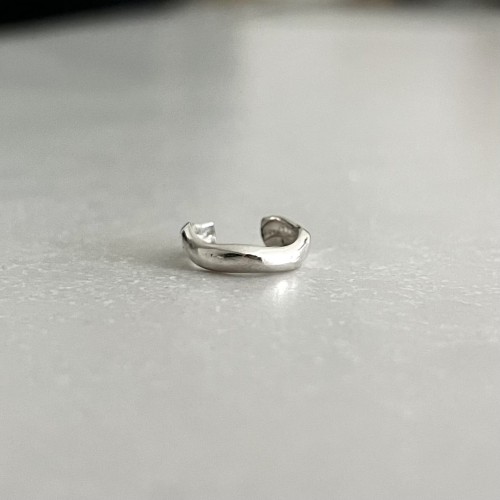 Srebrna nausznica nieregularna