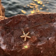 IMG_4247.jpeg